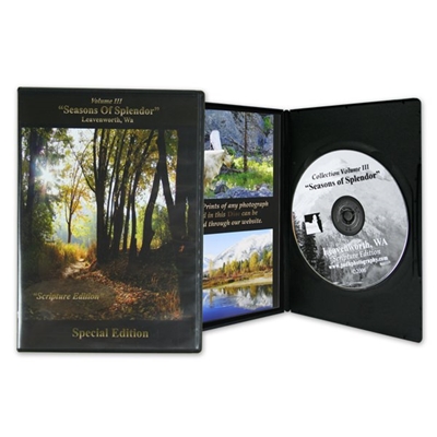 CD and Thin DVD Case w/ Cover and 4 Panel Insert
