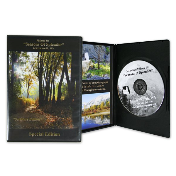 Custom DVD Cases Slim 4 Panel Insert CDROM2GO