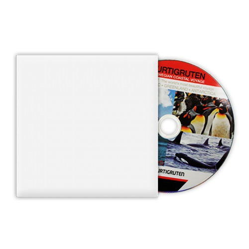 Picture for category DVDs and Blank Sleeves or Mailers